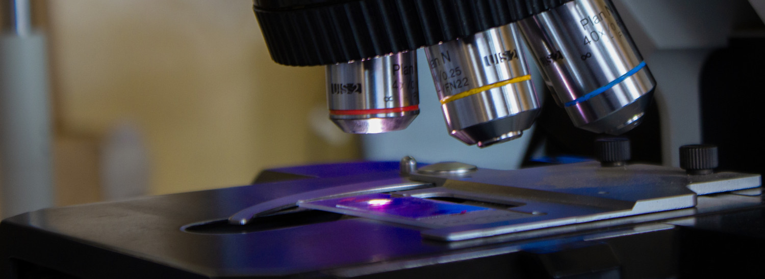 @william mathews walele unsplash1